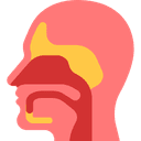 service-icon-1